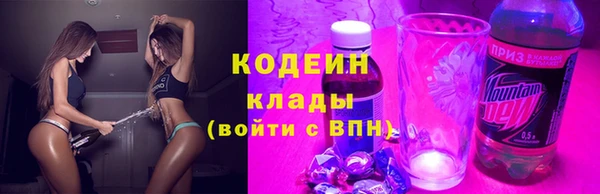 прущие грибы Балабаново