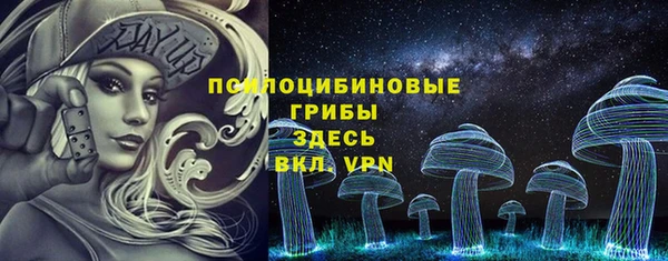 спайс Баксан