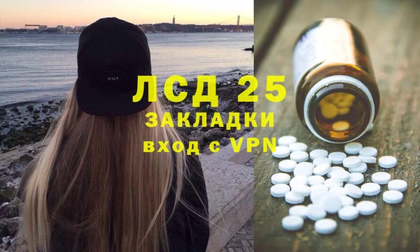 прущие грибы Балабаново