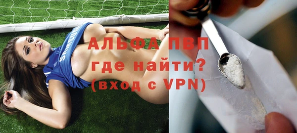 прущие грибы Балабаново