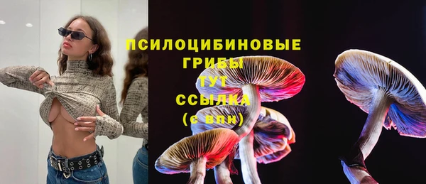 прущие грибы Балабаново