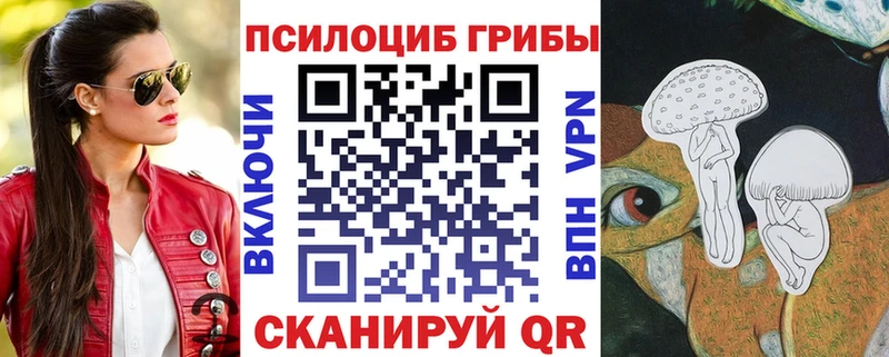 Псилоцибиновые грибы Psilocybe  Усть-Катав 